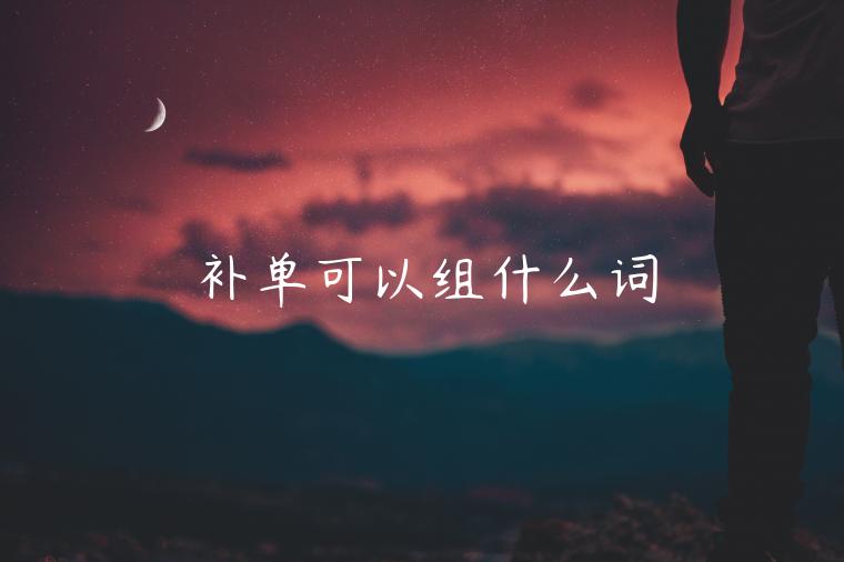 補(bǔ)單可以組什么詞